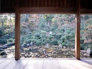 竹林寺客殿前庭の画像