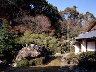 竹林寺小書院前庭の画像