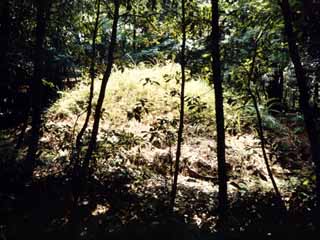 高間原古墳群の画像