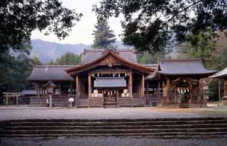 土佐神社全景の画像