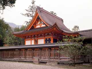 土佐神社本殿の画像