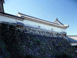 高知城東多聞の画像