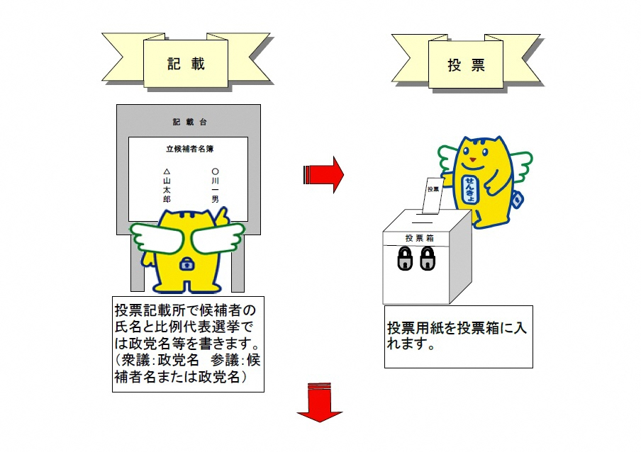 期日前投票の流れ３