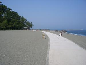 浜の遊歩道の写真