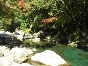 傍を流れる吉原川の写真