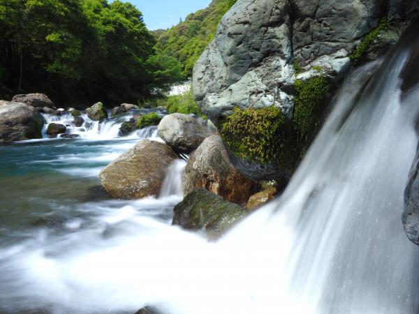 清流が流れる様子