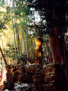 西養寺跡無縫塔の画像