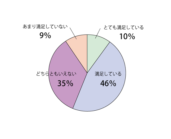 項目(11)集計結果グラフ