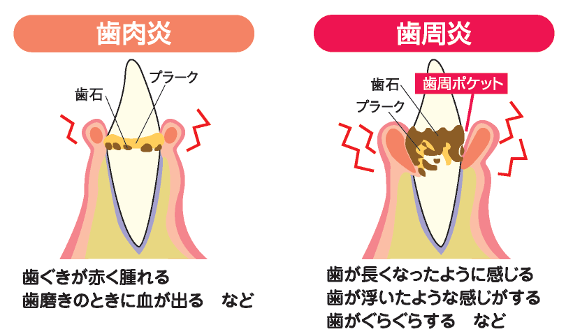 ソース画像を表示