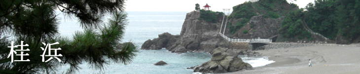 「桂浜」ページのイメージ写真