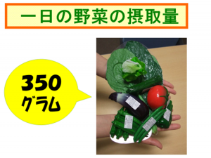 大人の両手いっぱいの野菜の写真