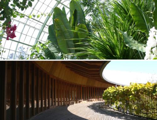 牧野植物園内の写真
