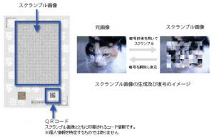 証明裏面右下にQRコードがあり読み取って、インターネット上の問い合わせサイトで確認すると証明書上部に印刷されているスクランブル画像の元の画像を確認することができる。