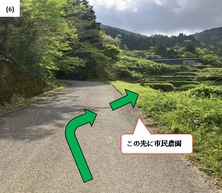 経路6