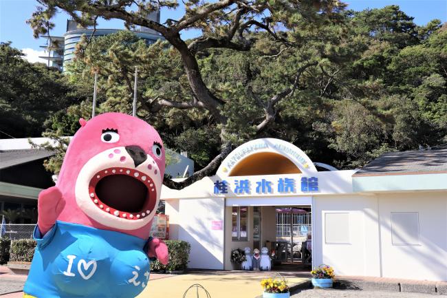 桂浜水族館