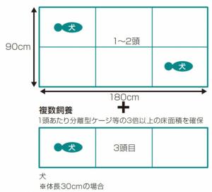 犬一体型飼養