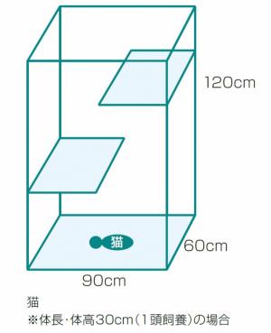 猫一体型飼養イメージ
