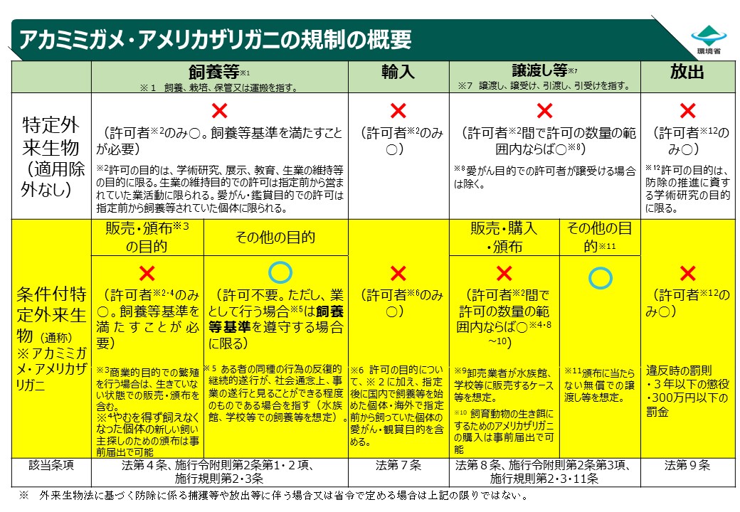 概要