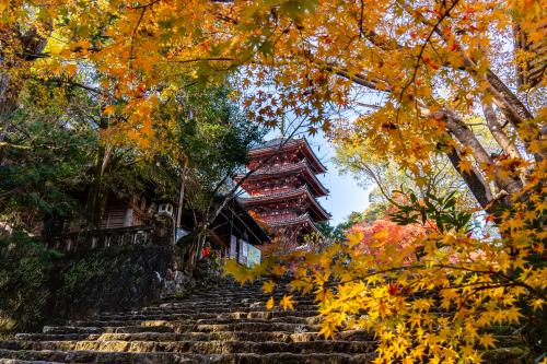 竹林寺3