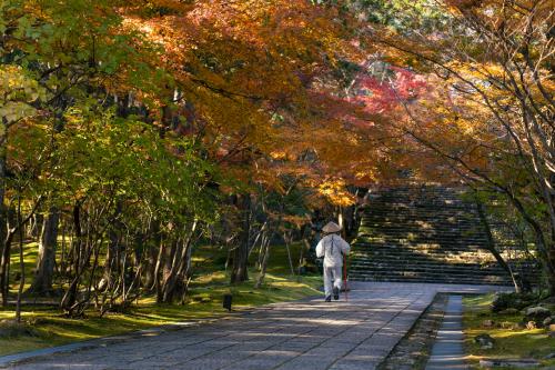 竹林寺4