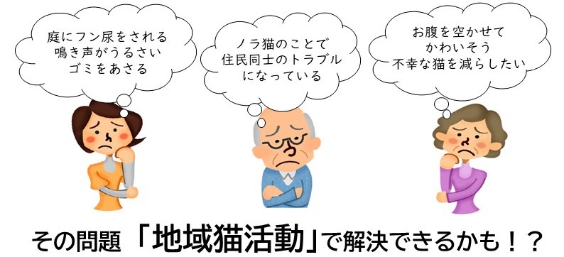 猫の困りごと