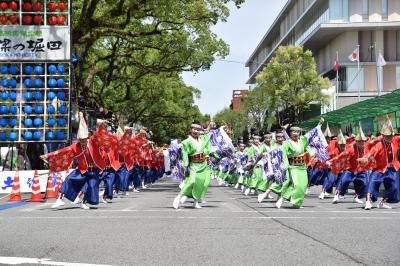 よさこい祭り