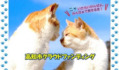 猫GCFプロジェクト