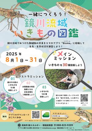 チラシ