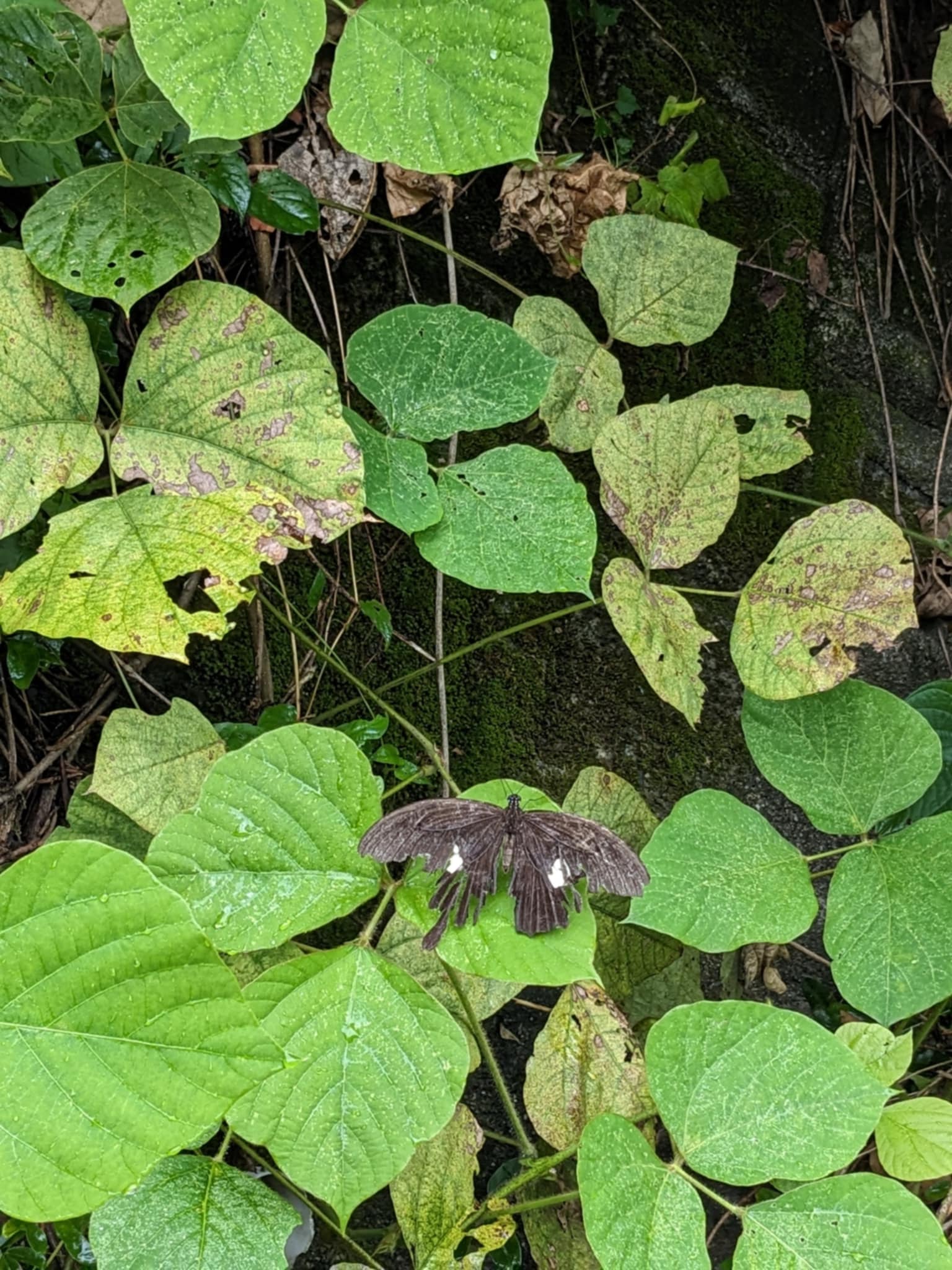 ひと休み