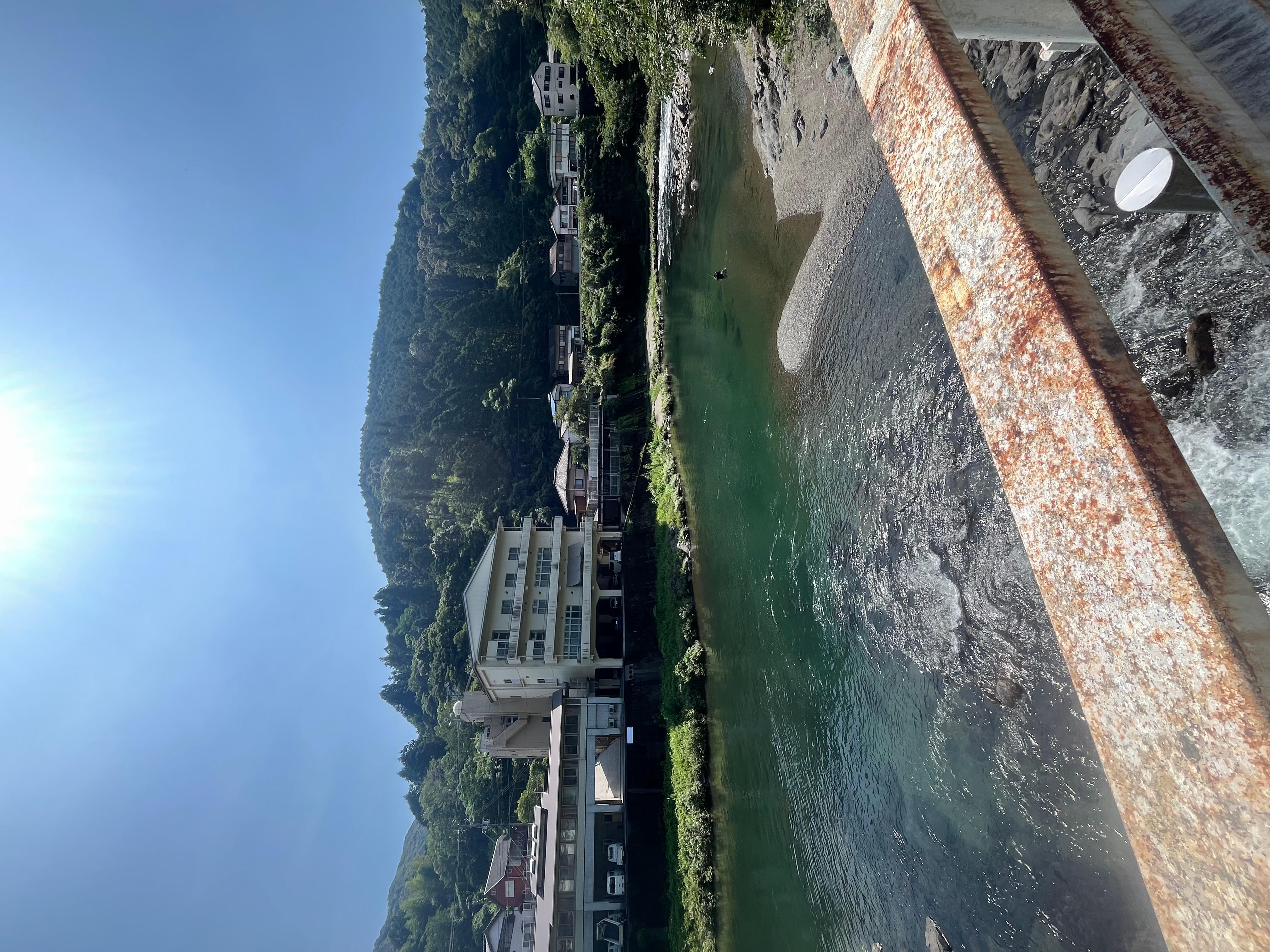 きれいな鏡川