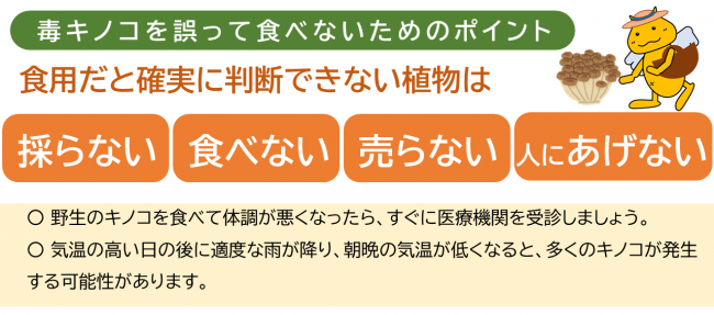 ホケちゃんキノコ