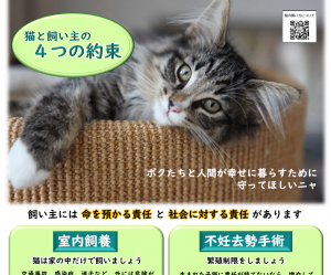 飼い主と主の4つの約束