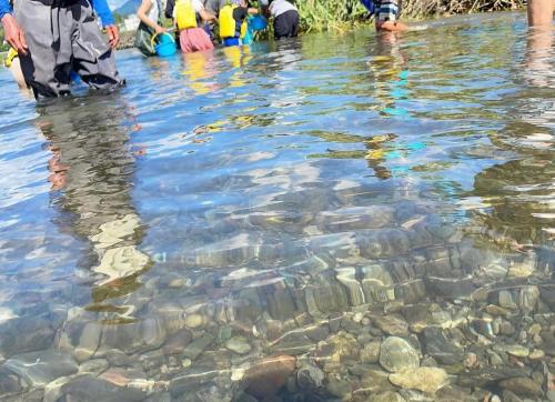 川の生き物探検隊