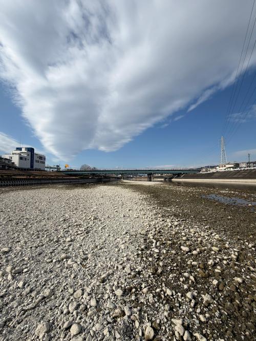 渇水の鏡川