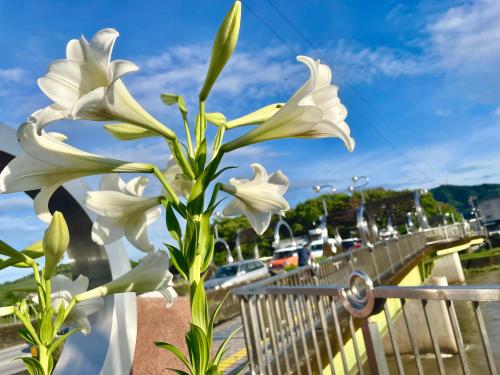 今日も咲いてます