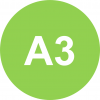 a3