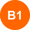 b1