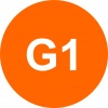 g1