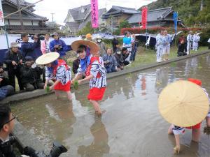どろんこ祭り様子