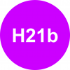 h21b