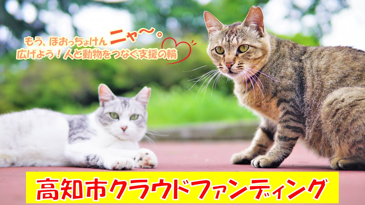 クラウドファンディングメイン画像