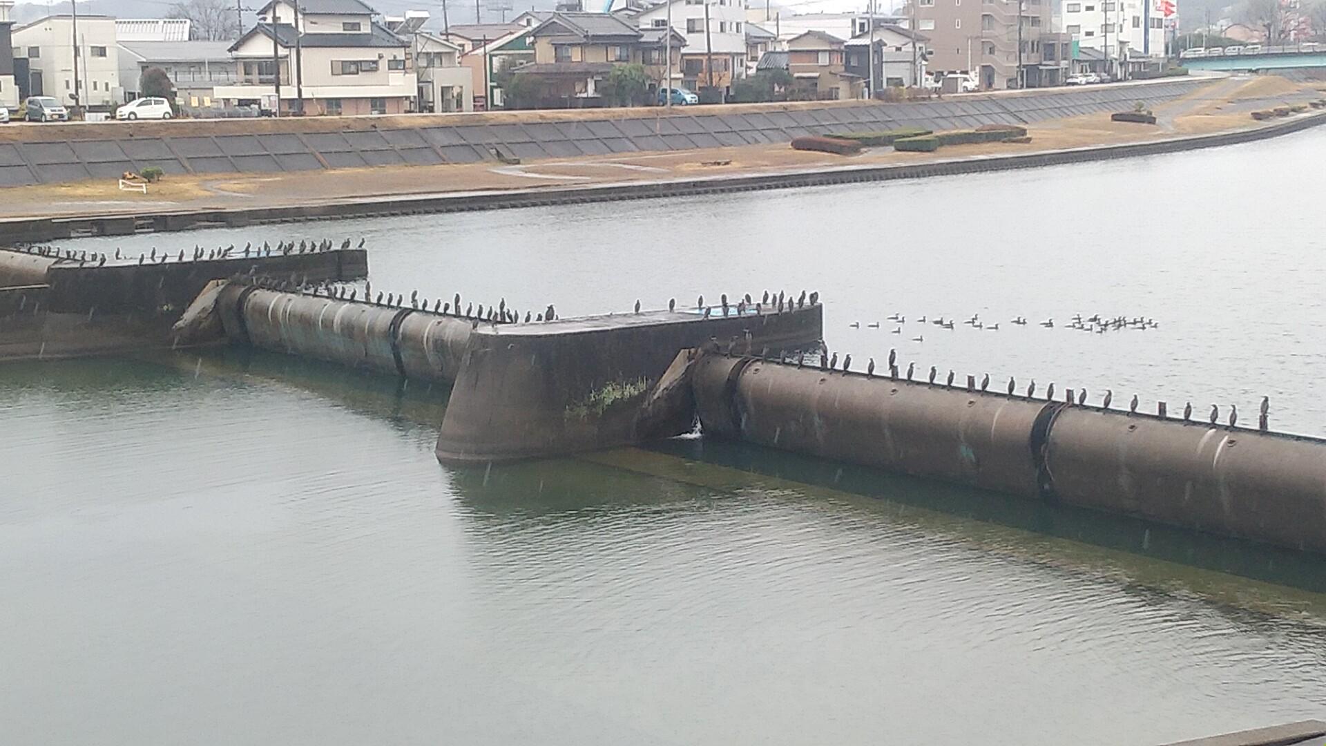 集団遠足