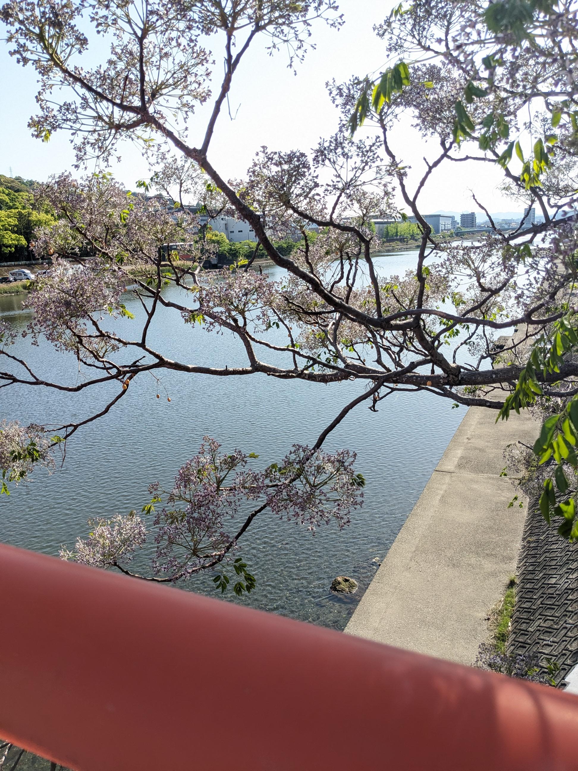 吸い込まれる春
