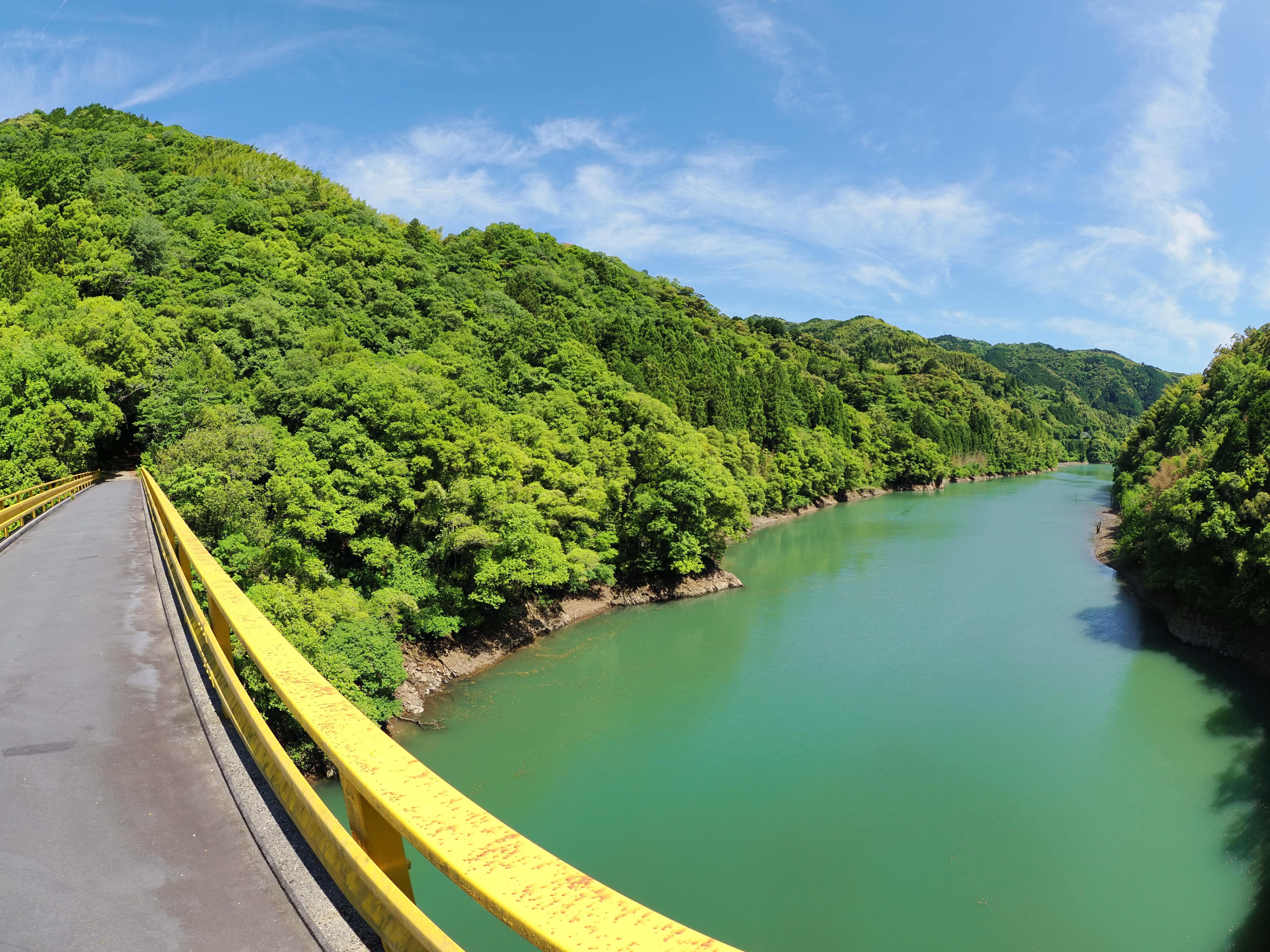 新緑へ続く橋