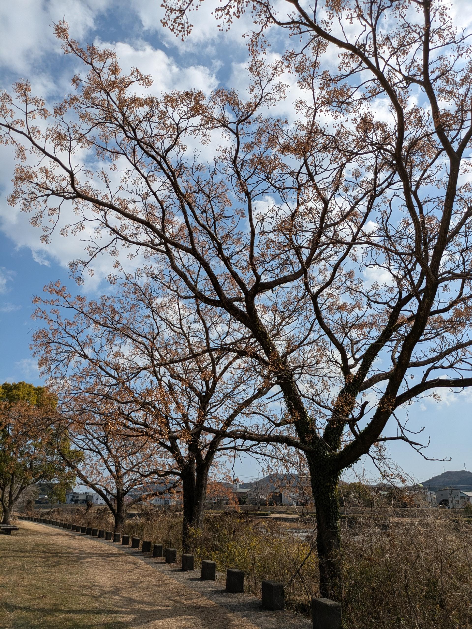 空の宝石