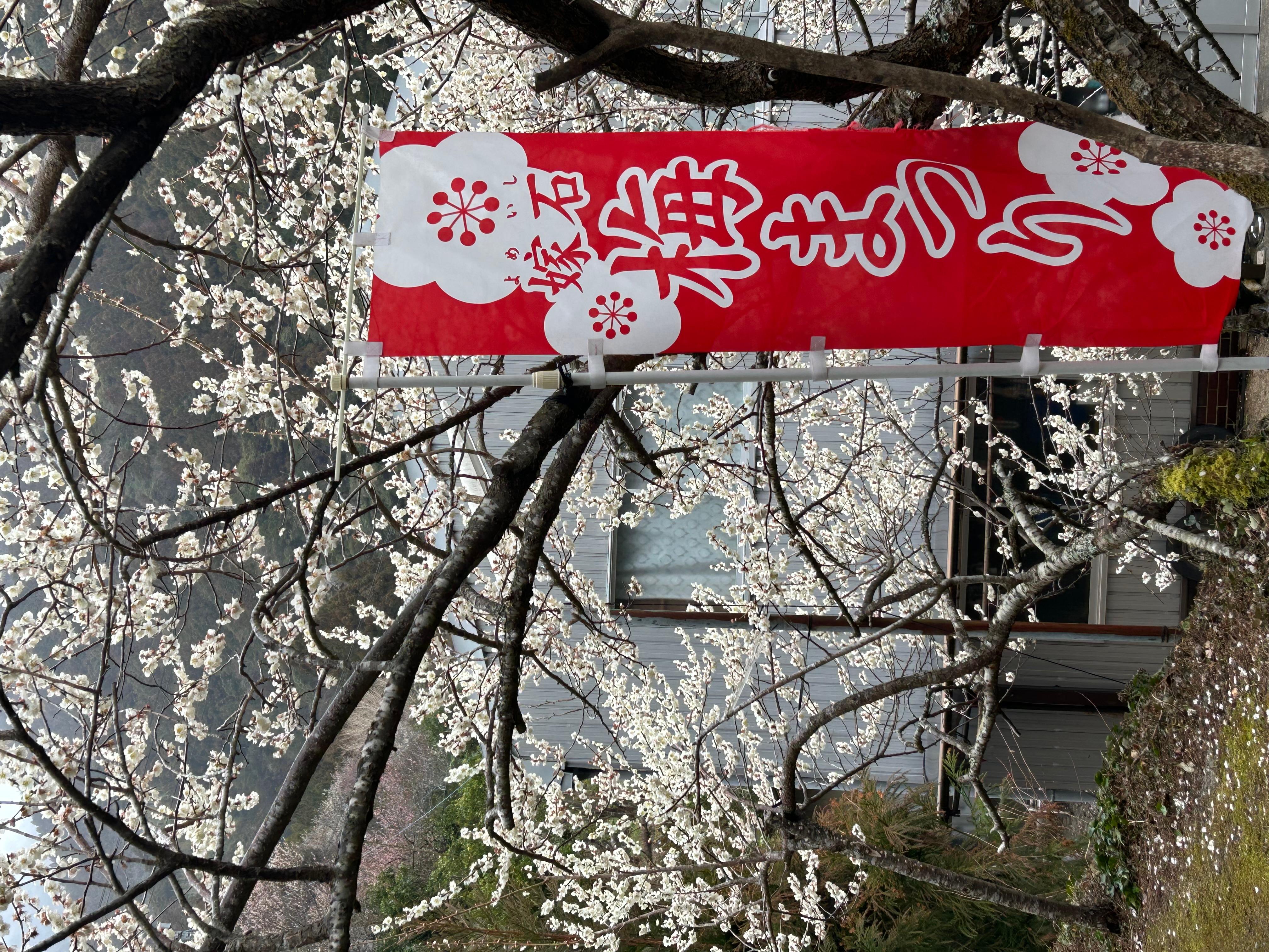満開