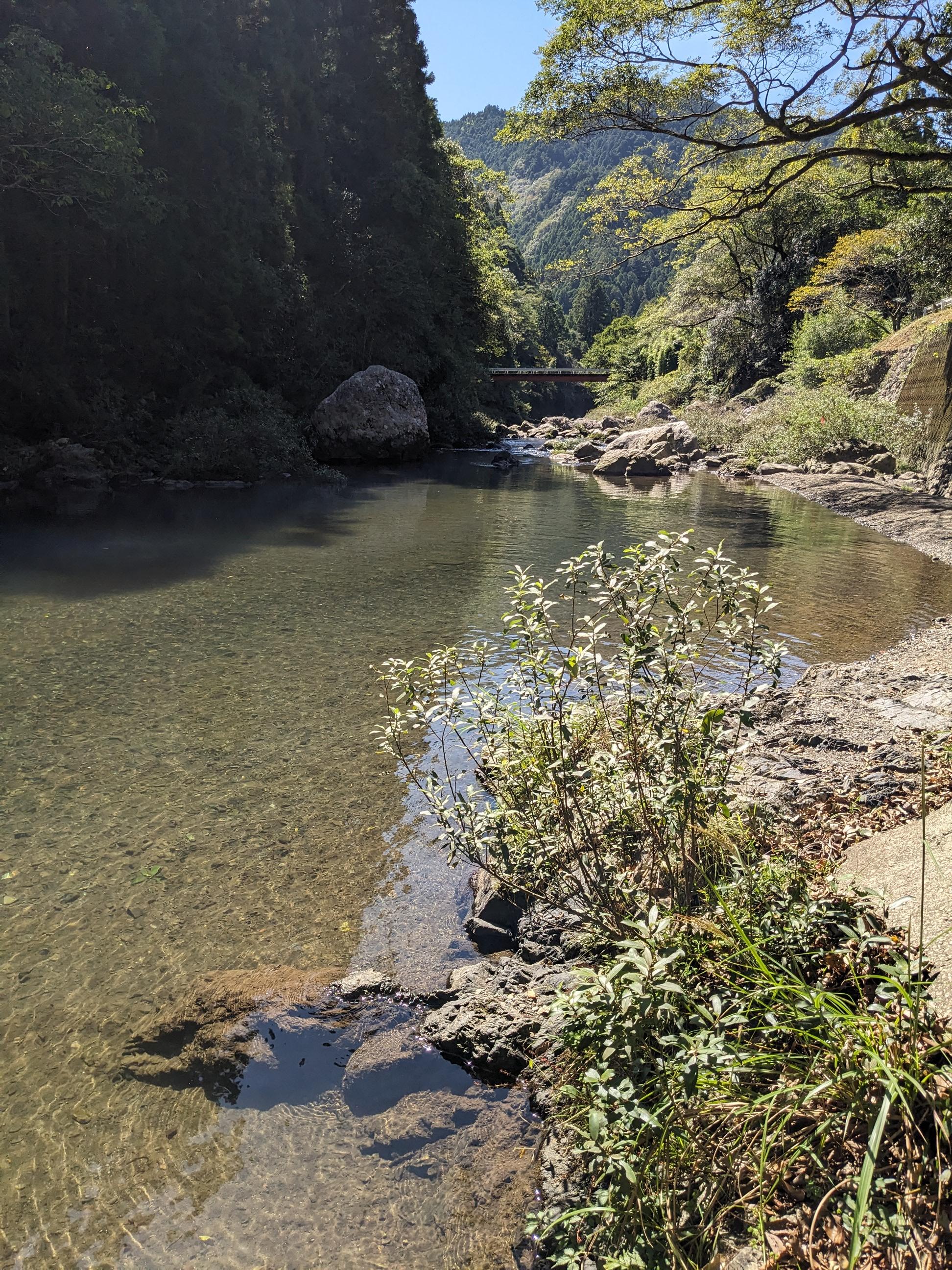 夏の水遊びのそのあと