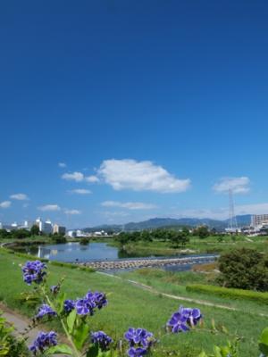 トリム公園対岸からの眺め