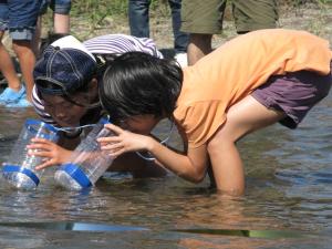 水中を観察する子どもたち