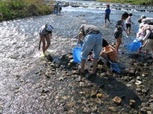 鏡川ガサガサ探検隊の様子